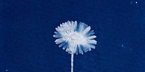 [Atelier] Petites graines de photographes - initiation au cyanotype