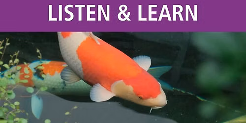 Water Gardening & Koi