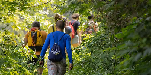 Artpark Gorge Hike (Adults and Ages 8+)