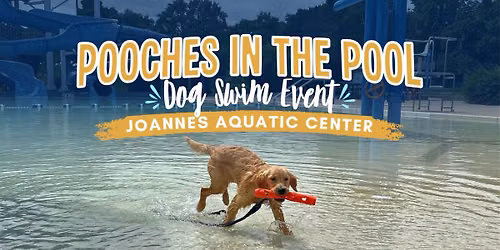 Pooches in the Pool