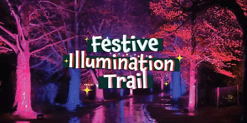 Festive Illumination Trail @ Old Down Country Park