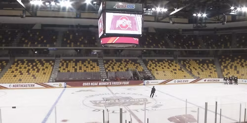 Minnesota Duluth Bulldogs Women's Hockey vs. Wisconsin Badgers