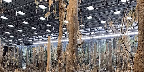 Lighting the Way: Crew & Rental House Collaboration at Cinespace