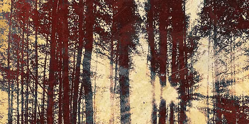Cutting Timber