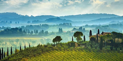 Wines of Sicily