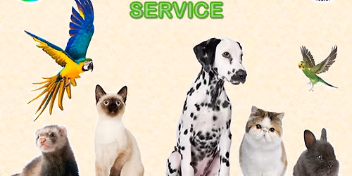 Pet Service