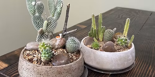 Cactus Garden Building Workshop at Moss Houseplants