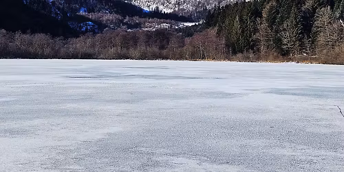 trail du ballon d'alsace