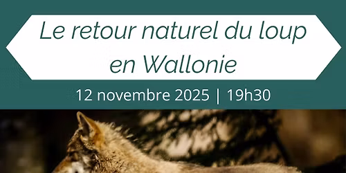 Conf\u00e9rence - Le retour naturel du loup en Wallonie