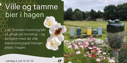 Ville og tamme bier i hagen