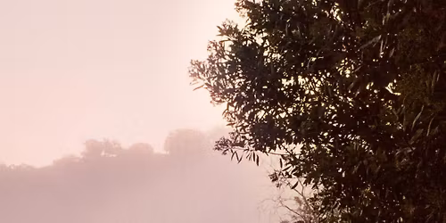 Liz Bullock @ Visible Voice Books