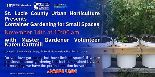 Container Gardening for Small Spaces