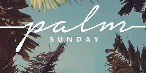 \ud83c\udf3f Fifth Sunday \/\/ Finger Foods & Dessert Social \ud83c\udf3f