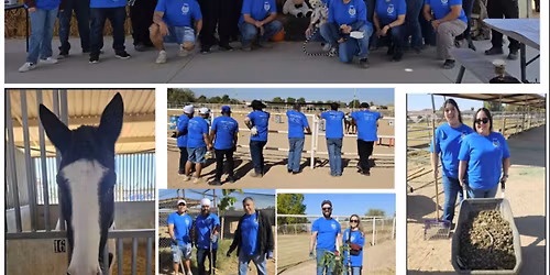 Hearts & Hooves - free farm day for children with autism and their families!