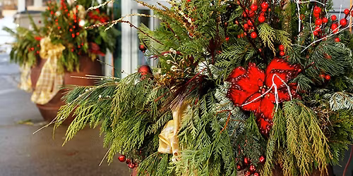 Festive Porch Pot Workshop!