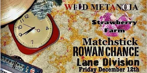 Wild Metanoia, Strawberry Farm, Matchstick, Rowan Chance, Lane Division