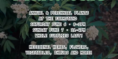 Spring Plant Sale \ud83c\udf31