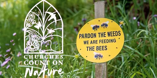 Churchyard Picnic & Wildlife Count