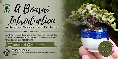 A Bonsai Introduction