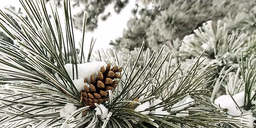 Public Walk: Osgoode \u2013 City Halls \u2013 Bay St \u2013 Front St \u2013 Distillery \u2013 Esplanade \u2013 Union Station