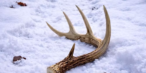 2nd Annual Shed Contest presented by The Archers Edge 