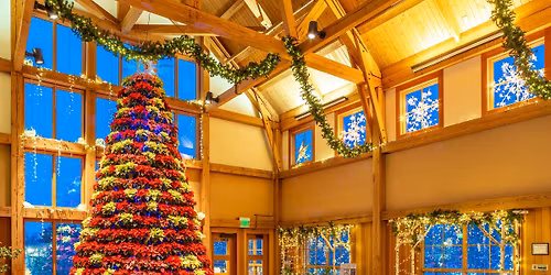 Opening Night at Winter Lights