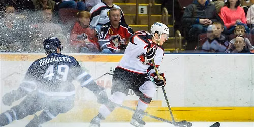 Hershey Bears at Springfield Thunderbirds