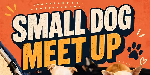 Small Dog Meet Up