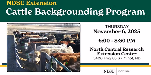 Cattle Backgrounding Program