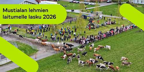 HAMK Mustialan lehmien laitumelle lasku 2026