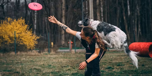 Kurs Trener Ps\u00f3w 2025 \/2026