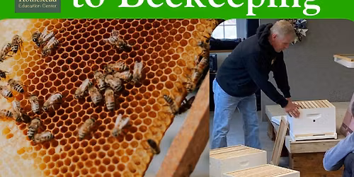 3.21.26 - Intro to Beekeeping at Soule Homestead