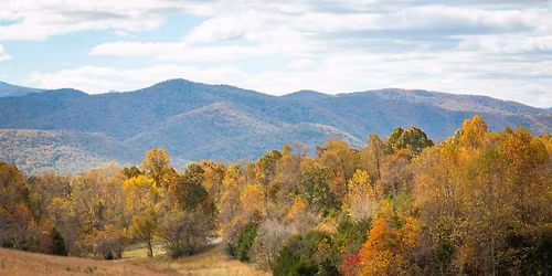 Winter Tree-mendous Hike