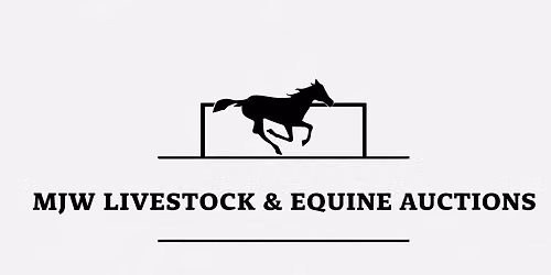 Horse & Saddlery Auction- SHEPPARTON