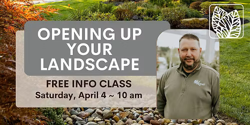 Opening Up Your Landscape with Lowe's Greenhouse