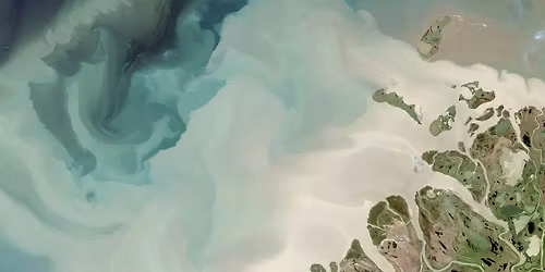 Nurturing Emotional Resilience in the Face of Climate Change