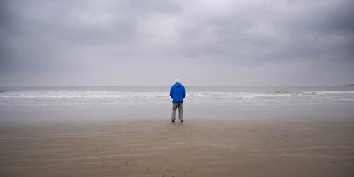 Screening | Ocean with David Attenborough