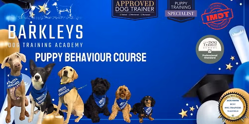 Puppy Behaviour Course