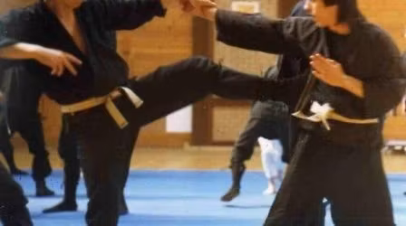 40th Bujinkan Anniversary - Back to the 80s.