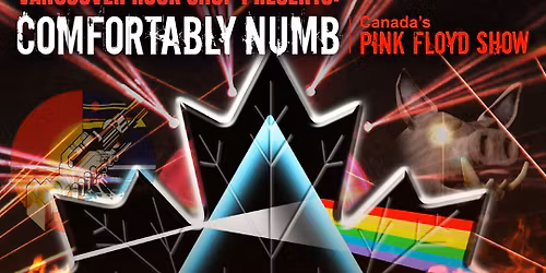 Comfortably Numb - Canada's Pink Floyd Show at Algonquin Commons Theatre