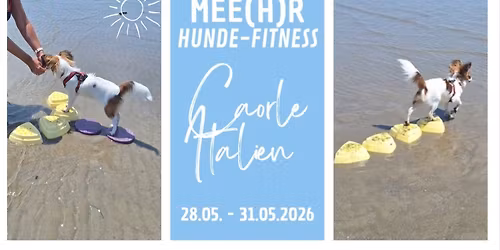 Mee(h)r Hunde-Fitness \u2013 Intensivtraining am Beach von Caorle