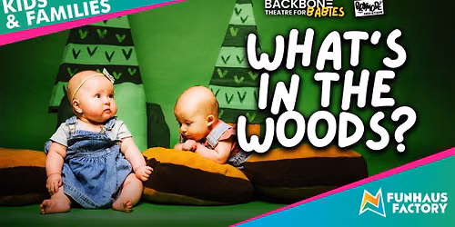 What's In The Woods?