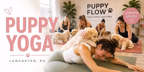 Puppies & Yoga Launch Weekend \u2022 Lancaster, PA
