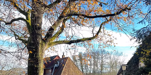 Yoga-Wochenende in der "Zwickm\u00fchle"