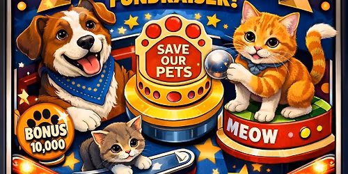 Purrrfect Pinball Tournament 