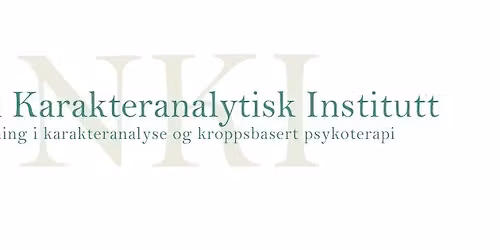 Heldagsworkshop i klinisk anvendelse av psykodynamisk psykosomatikk, ledet av psykolog Sofie S.Opdal