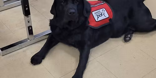 Lenore Scrapbook Fundraiser