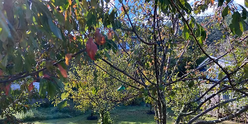 Pinehaven Community Garden plant sale