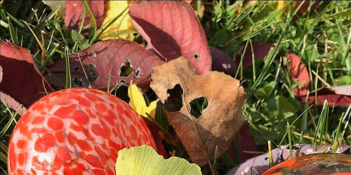 Ornaments! In your best colors! created this season out of Hot Glass.