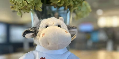 Build-A-Cow